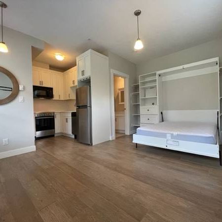 Tiny Condo Under 300SQFT / Murphy Bed Included / Single Occupant Only - Photo 3