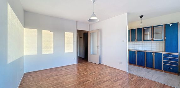 Location Appartement 1 pièce 30m² STRASBOURG 67100 - Photo 2