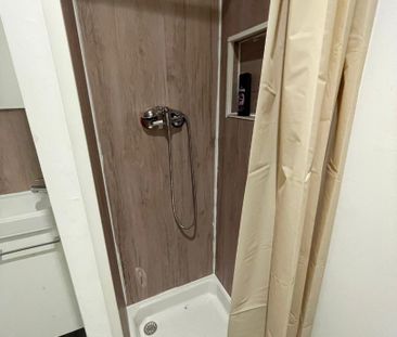 Location Appartement 1 pièce 20m² MONTREJEAU 31210 - Photo 2