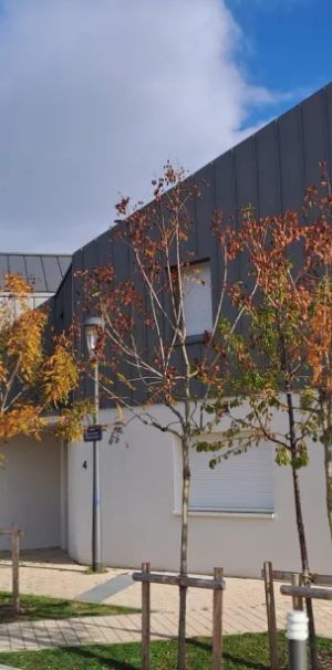 Location maison T4 92.10m² à Reims (51100) - Photo 1