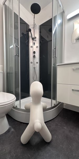 Location Appartement 1 pièce 12m² CLERMONT FERRAND 63000 - Photo 1