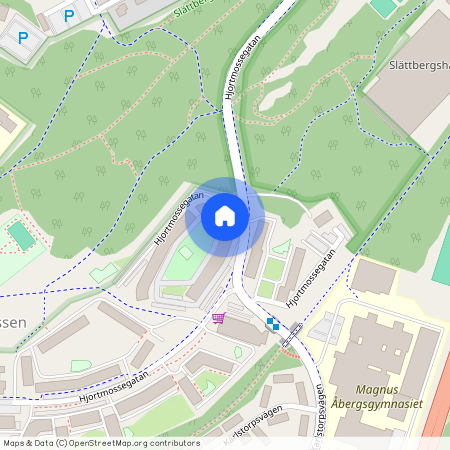 Hjortmossegatan 156, Trollhättan