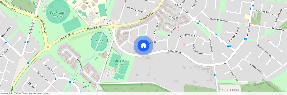 20 Mistletoe Avenue, NSW 2564, Macquarie Fields