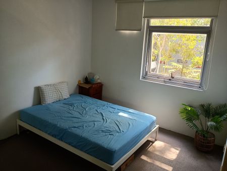 Zetland - Photo 4