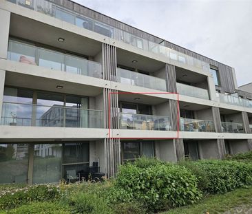 Appartement - Photo 5