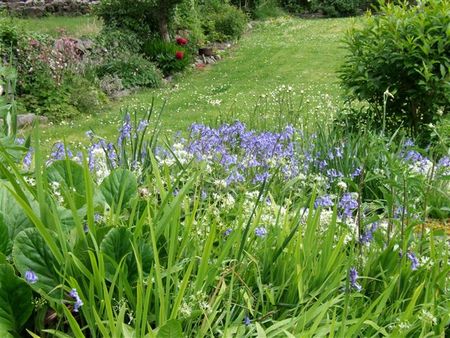 Dooneen Burren Co Clare, Bellharbour, Clare, H91YDW7, H91YDW7 - Photo 3