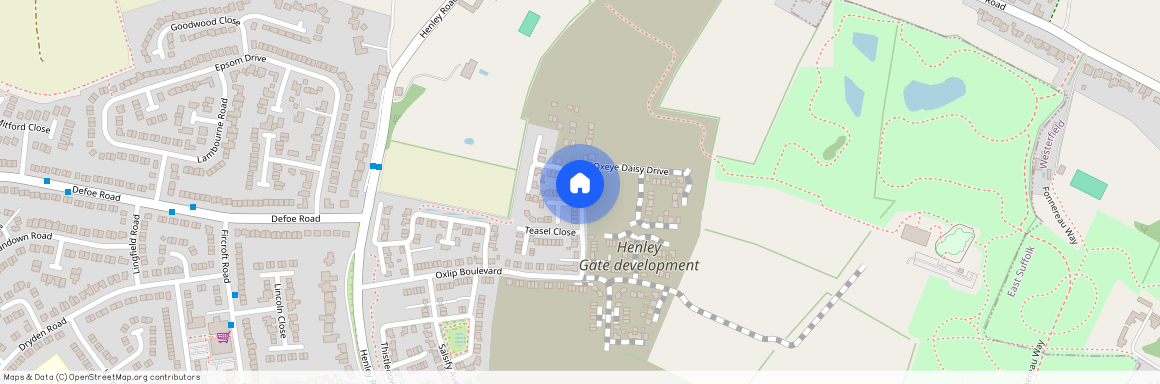 Oxeye Daisy Drive, Ipswich