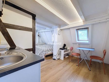 PETITE FRANCE - STUDIO MEUBLE - 17.47m² - Photo 2