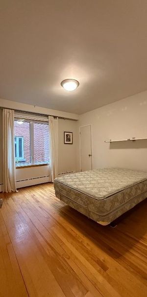 Grand 6 1/2 - MERCIER HOCHELAGA MAISONNEUVE - Photo 1