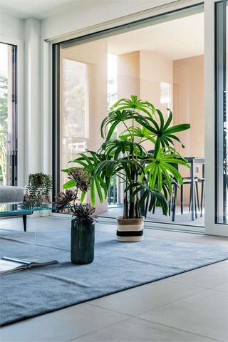 Neue 2.5-Zimmer-Wohnung mit Garten - Photo 3