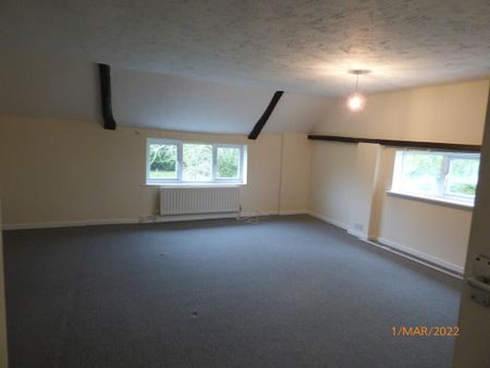 Greys Cottage, Greys Lane, Burgh St. Peter - Photo 3