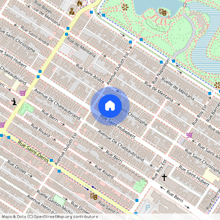 3999 Rue St-Hubert, app.1, H2L 1B3, H2L 1B3, Montréal