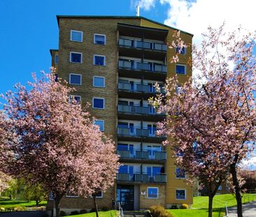 Engelbrektsgatan, Borås - Photo 4