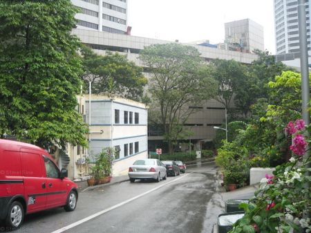 Lucky Plaza (D9), Apartment - For Rent - Photo 4