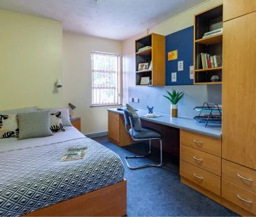 Classic Studio - Photo 2