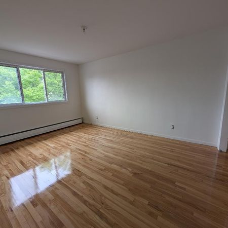 5 1/2 RÉNOVÉ St-Léonard - Photo 4