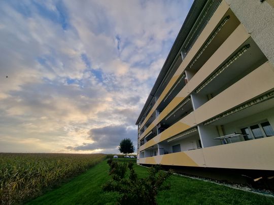 Charmante 3.5-Zimmer - Photo 1