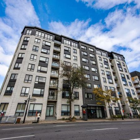 3 1/2 - Montréal (Ville-Marie (Centre-ville)) - 1 600 $/mois - Photo 3