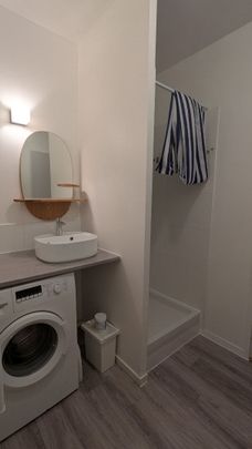 Appartement Nantes 2 pièce(s) Meublé / Ile de Nantes - Loggia - Photo 1