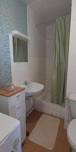 Location Appartement 1 pièce 26m² LE MANS 72000 - Photo 4