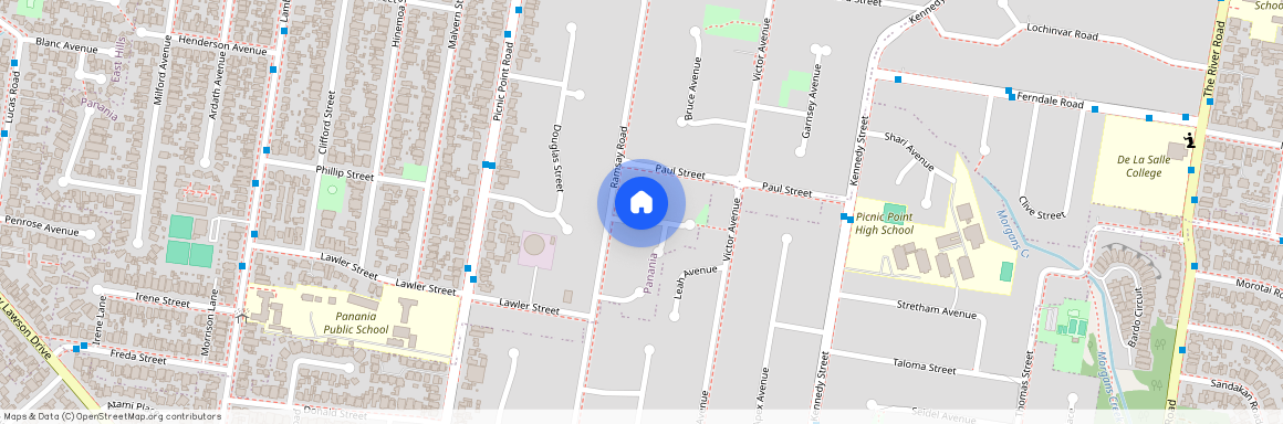 1A Peppermint Grove, NSW 2213, Panania