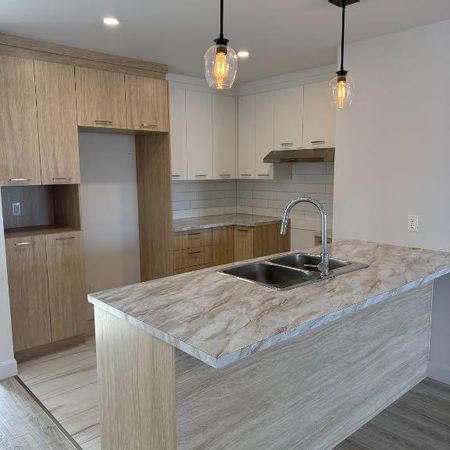 Grand 5 1/2 avec petit cours priver - Photo 4