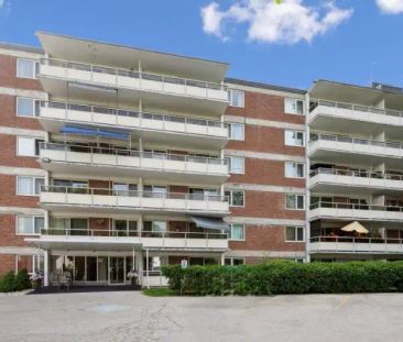 Surrey Place Apartments | 807 Frederick Street, Kitchener - Photo 1