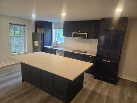 For Lease - 23 Falkland Place Unit# Lower Level 1, Richmond Hill, Ontario - Photo 2