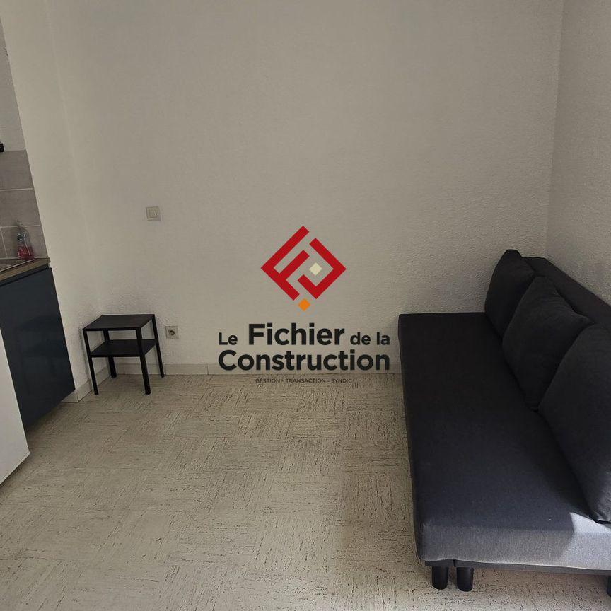 Location Appartement 1 pièce 16m² GRENOBLE 38000 - Photo 1