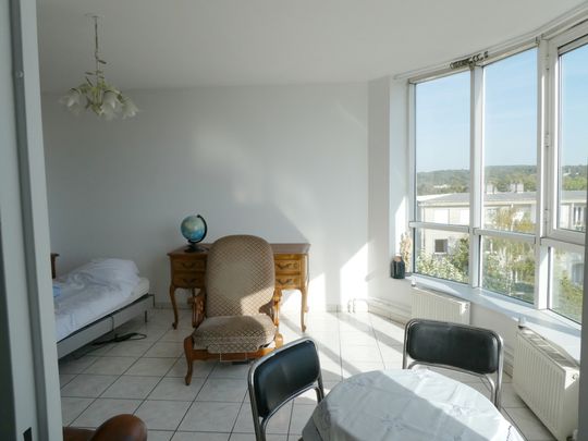 Location Appartement 1 pièce 30m² AVON 77210 - Photo 1