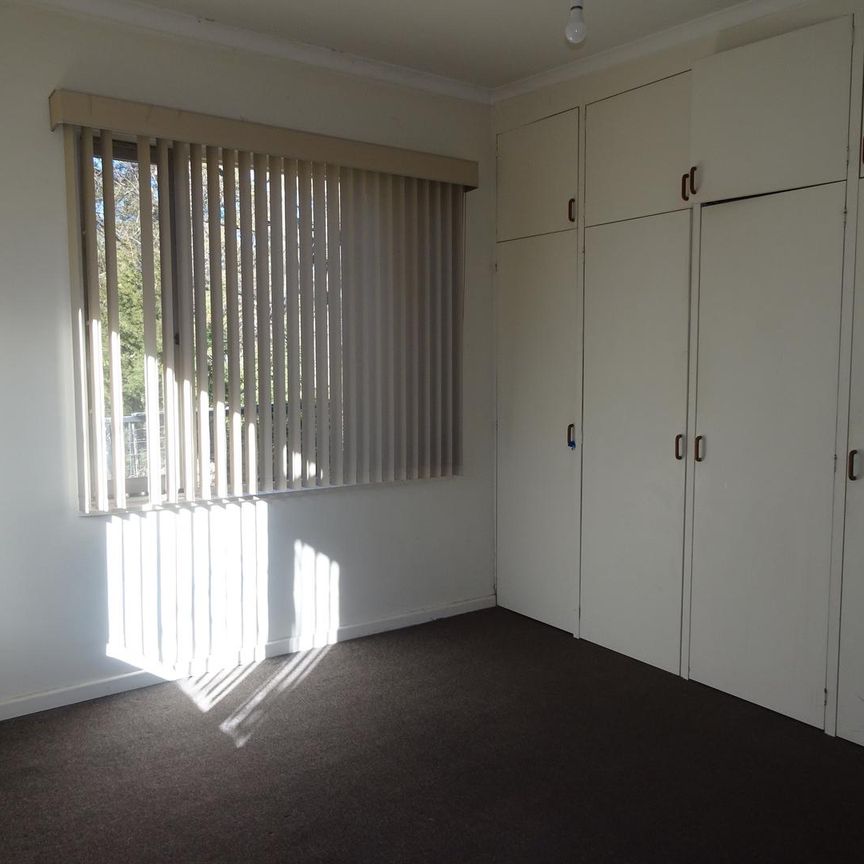 151 Limestone Avenue, Braddon ACT 2612 - House For Rent | Domain - Photo 1