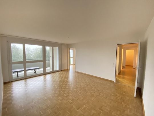 Ruhiges Wohnquartier an sonniger Lage - Photo 1