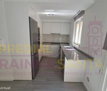 Pereira, Santarem - Photo 4