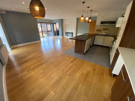 Paddocks Walk, Adamstown, Lucan, Co. Dublin - Photo 5