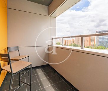 Apartment for rent on Calle Dulce Chacón - Photo 6