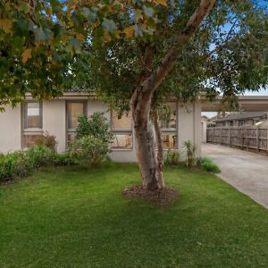 Spacious Family Home in a Prime Frankston Location - Photo 2