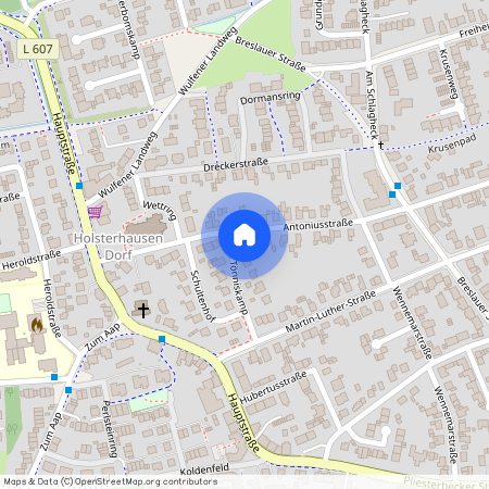 Antoniusstraße Nr.43, 46284 Dorsten