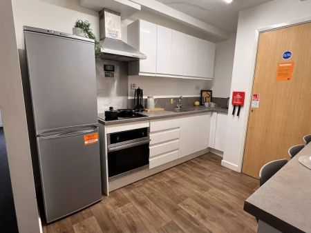 Large High Double Ensuite - Photo 4