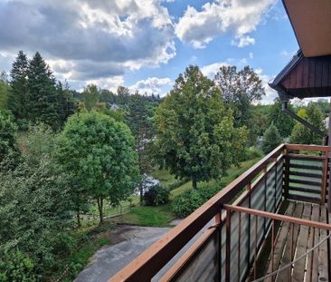 Pronájem bytu 1+kk a garsoniéry 25 m², Olešná - Photo 6