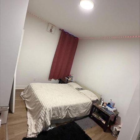 1 CH - 1 SDB - Montréal - $1,300 /mo - Photo 3