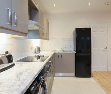 332 Lisburn Road, Belfast, BT9 6GH - Photo 6