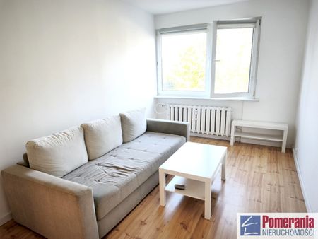 Nowe Miasto, ul. Potulicka – zdjęcie 2