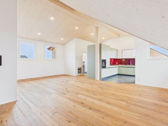 Modern 3.5-room apartment with large terrace and lake view in Beinwil am See - Photo 1