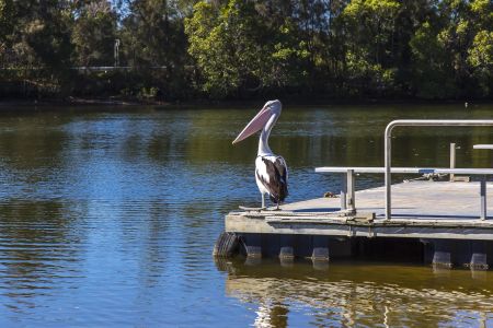 Charming 2-Bedroom Villa in Peaceful Diddillibah - Photo 2