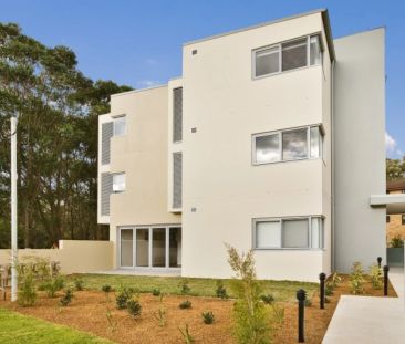 Spacious Renovated Apartment - Photo 3