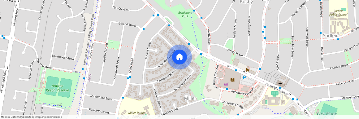 13 Corriedale Street, Miller