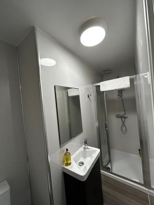 Bedsit, High Town Road, LU2 - Photo 1