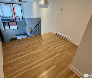 1310, Rue Ontario E, Ville-Marie (Centre-Ville et Vieux-Montréal) à... - Photo 3