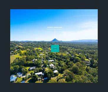 19 Watergum Place, Black Mountain, Qld 4563 - Photo 1