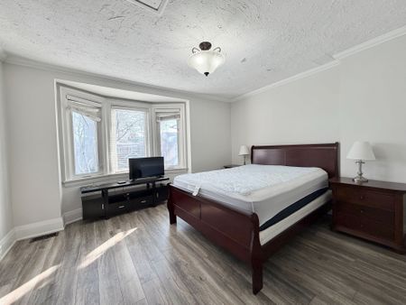 For Lease - 256 Bedford Park Avenue, Toronto, Ontario - Photo 4